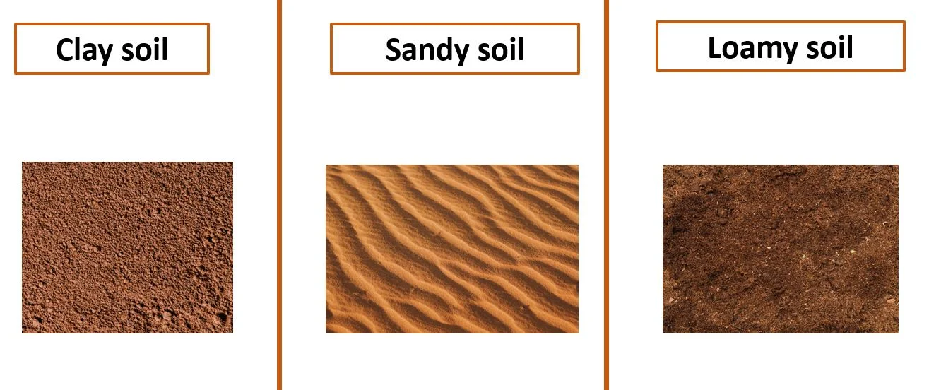 Different types of soil – Soil – types, composition and other facts