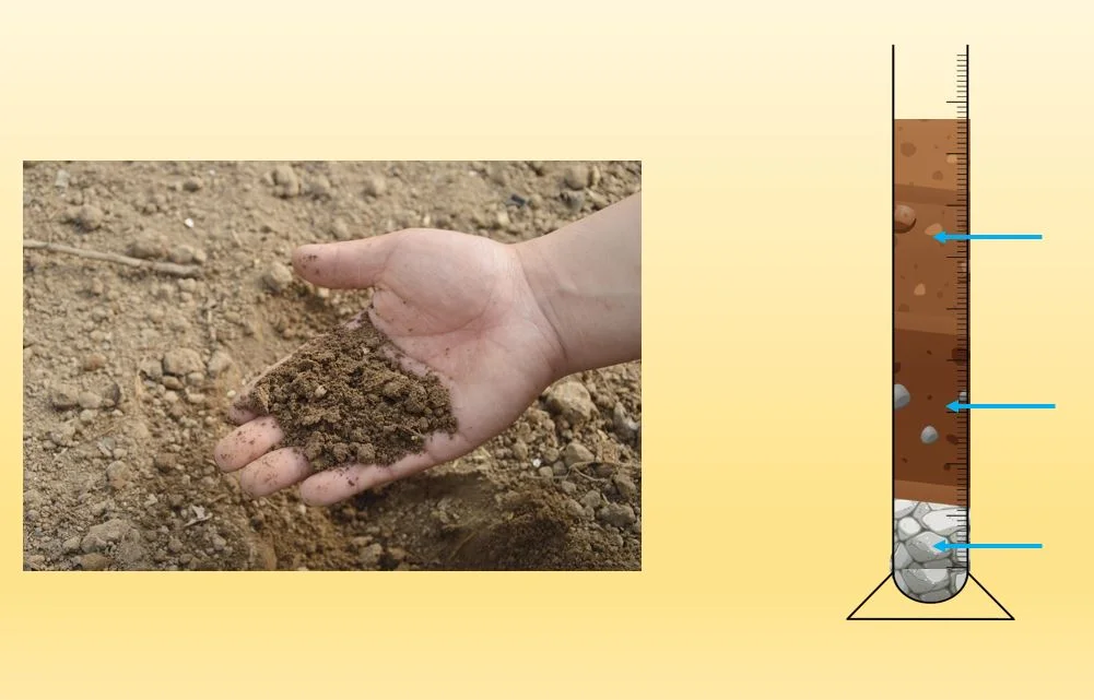 Composition of soil – Soil – types, composition and other facts