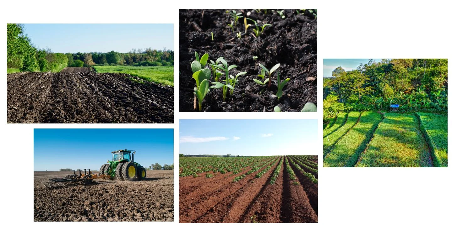 Loamy soil – Soil – types, composition and other facts
