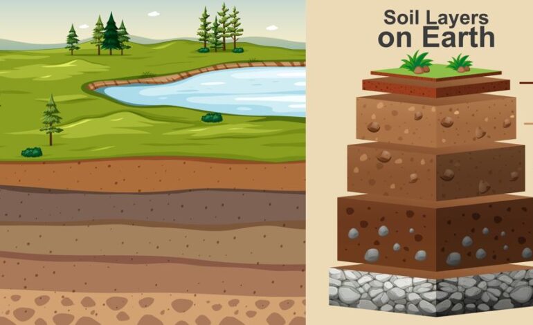  Soil – types, composition and other facts