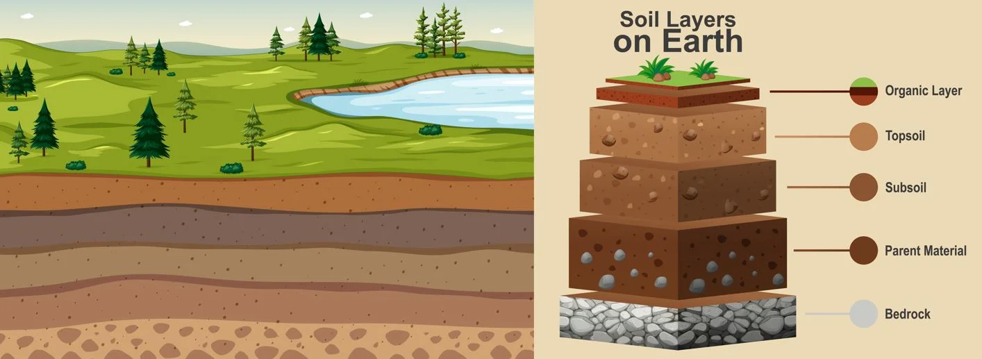 Soil – types, composition and other facts