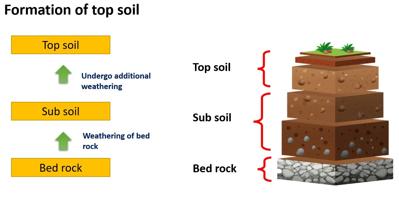Soil profile – Soil – types, composition and other facts