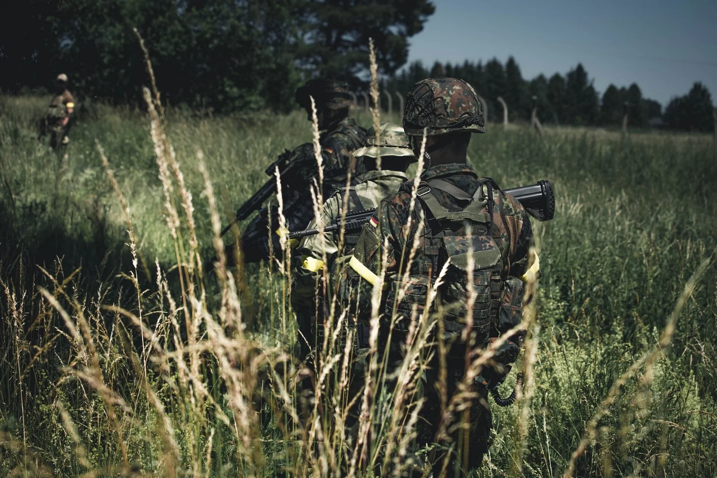 What is camouflage in biology?