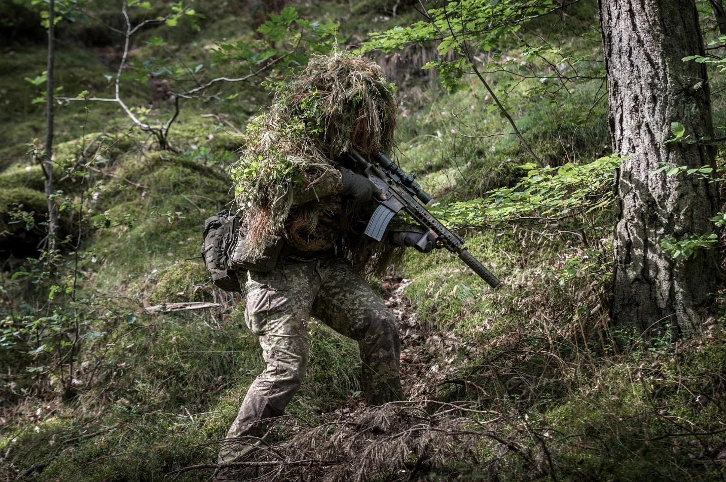 Examples for camouflage – What is camouflage in biology?