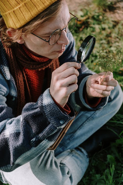 Free A Man Magnifying a Small Plant Stock Photo