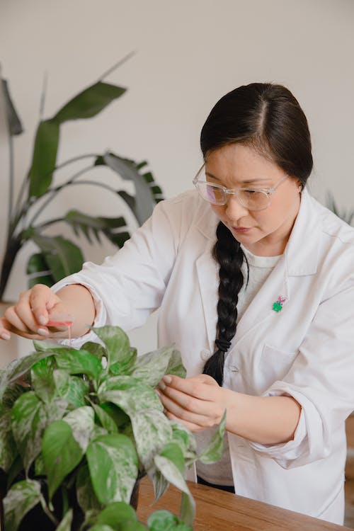 Free A Woman with Braided Hair Pouring Pink Liquid on Green Plant Stock Photo