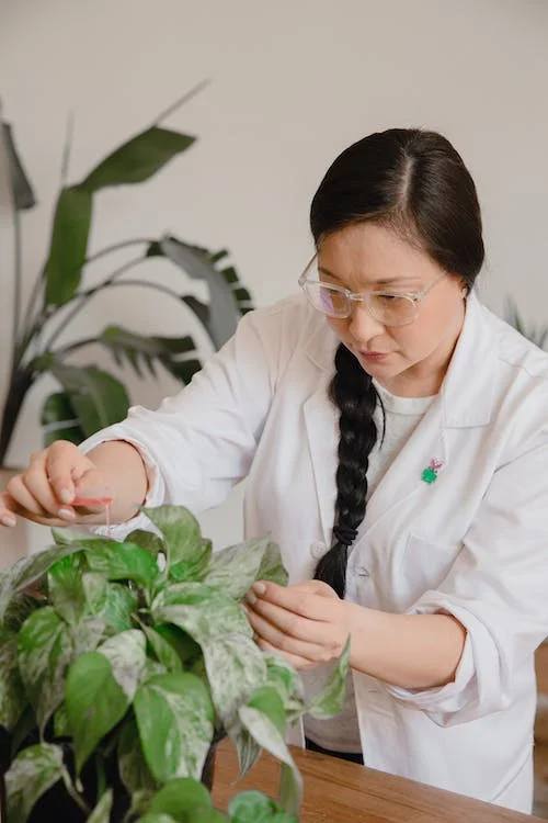 What is conservation in biology?