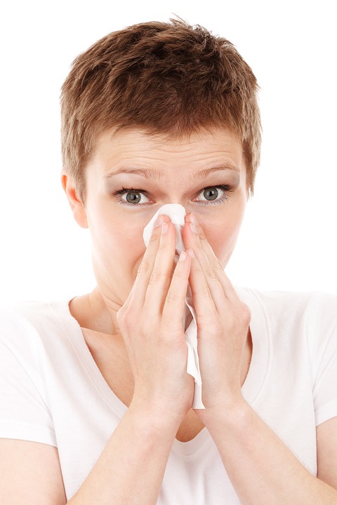 Free Allergy Cold photo and picture