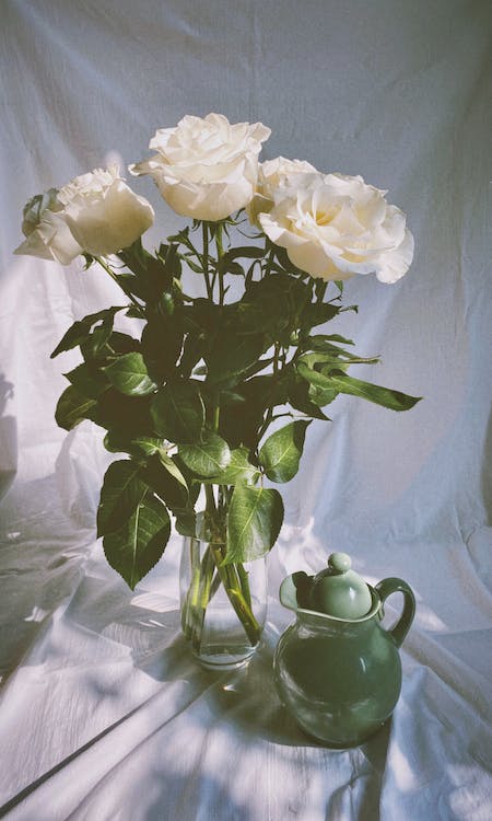 Free Bunch of White Roses in Glass Vase and Green Jug Stock Photo