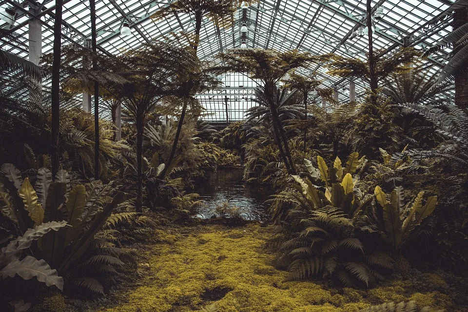 What is an ecosystem?
