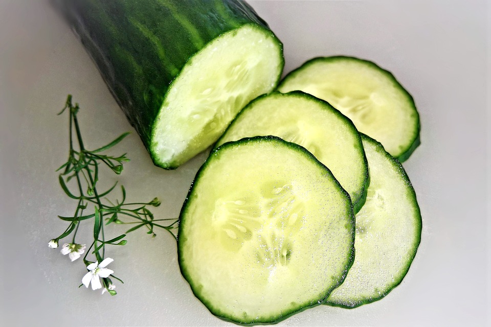 Free Cucumber Vegetables photo and picture