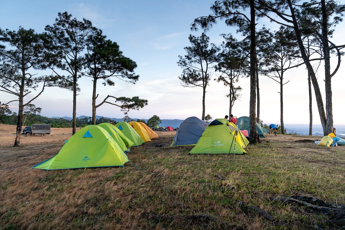 Free Dome Tents Under Green Trees on Grass Field Stock Photo