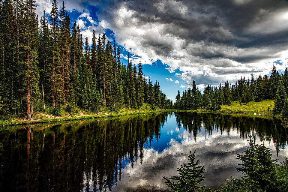 Free Lake Conifers photo and picture