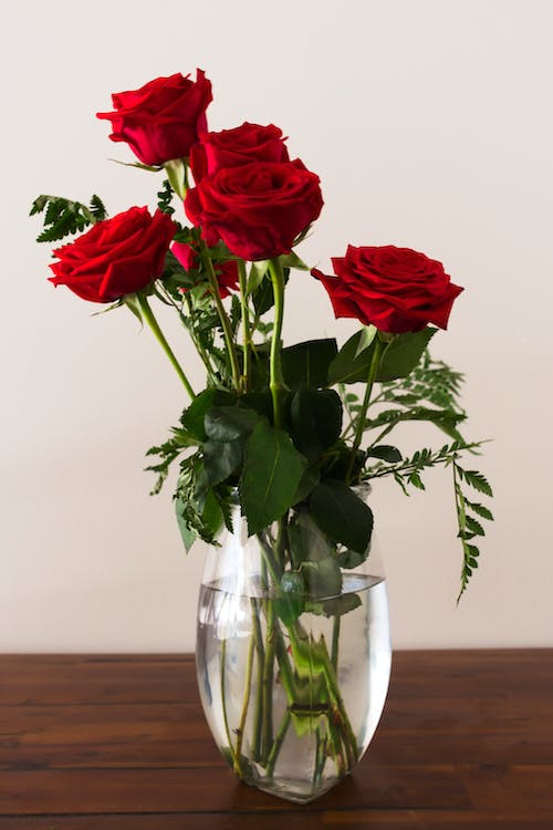 Free Photo of Roses On Flower Vase Stock Photo