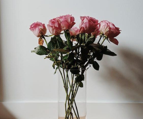 Free Pink Roses in Clear Glass Vase Stock Photo