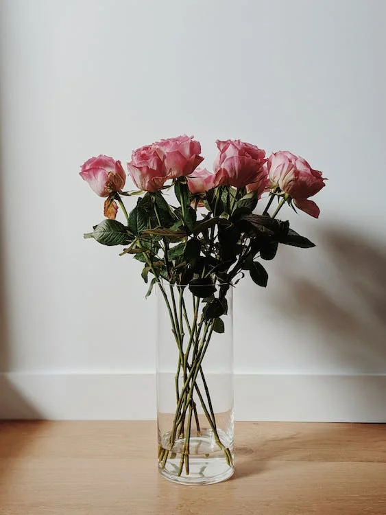 Tips on how to keep roses alive