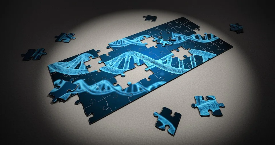 What lifestyle factors affect telomere length?