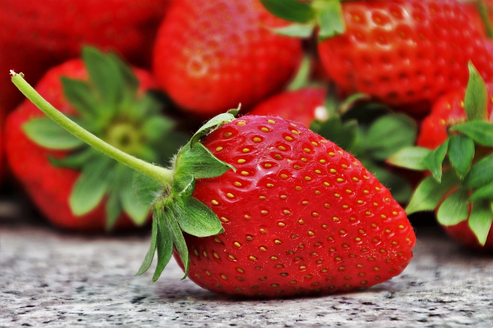 Free Strawberries Fruit photo and picture