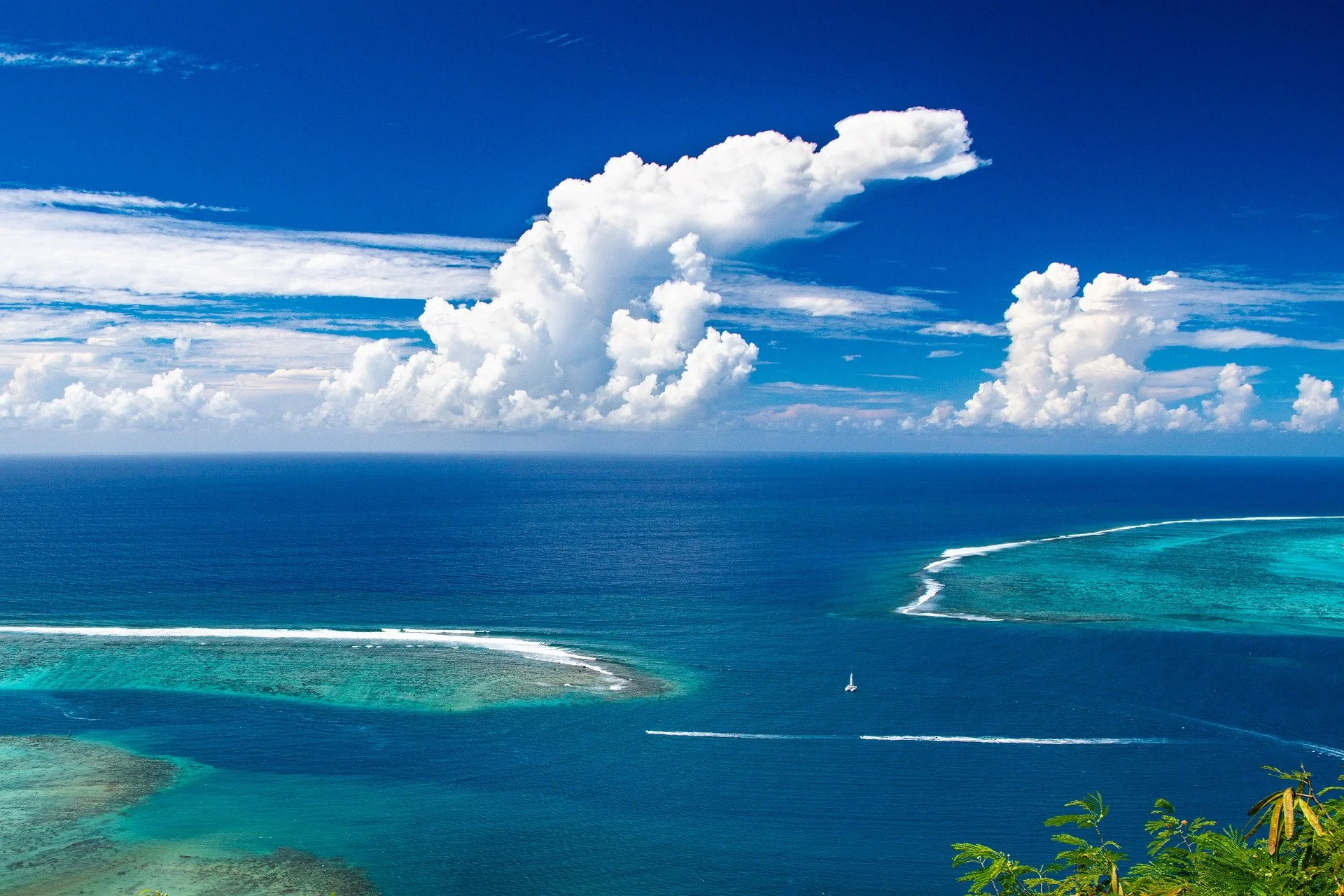 Great Barrier Reef in Australia – Corals: An Overview of the Marine Invertebrates and Their Ecosystems