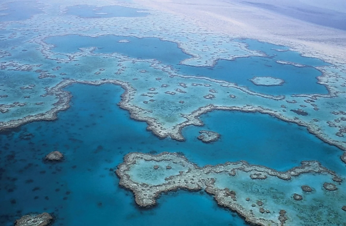 Great Barrier Reef in Australia – Corals: An Overview of the Marine Invertebrates and Their Ecosystems