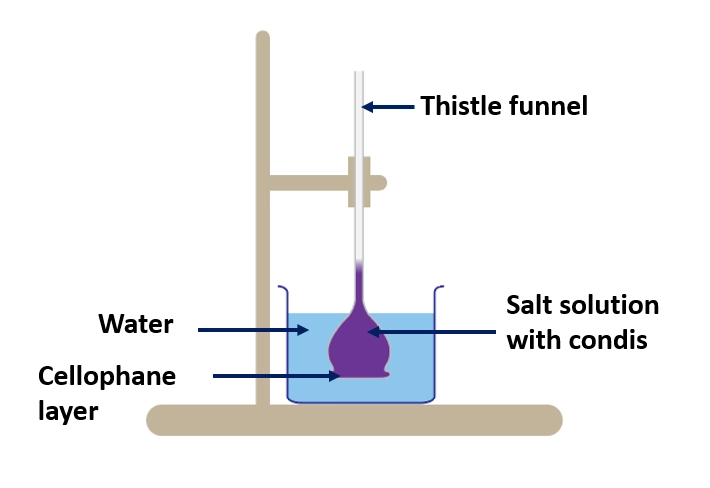 (Demonstration of osmosis) – Simple experiments that can be conducted in the laboratory
