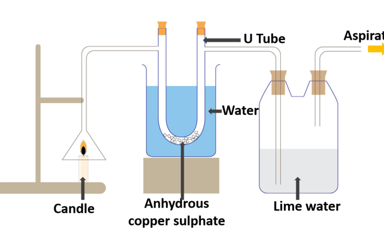  Simple experiments that can be conducted in the laboratory