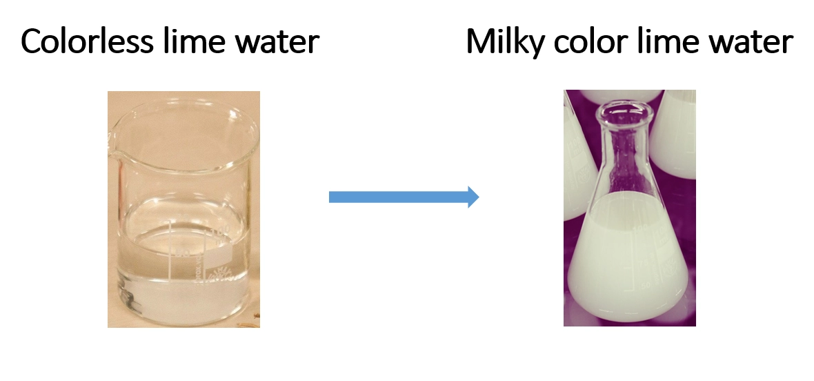 Identify the products formed during the combustion of fuels – Simple experiments that can be conducted in the laboratory
