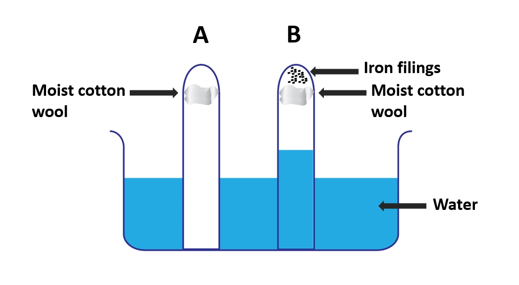 Investigate oxygen in air essential for rusting of iron – Simple experiments that can be conducted in the laboratory