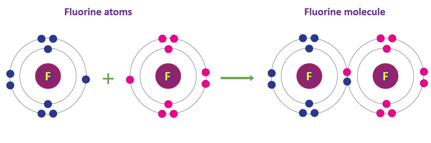 Covalent Bonds – Chemistry study notes