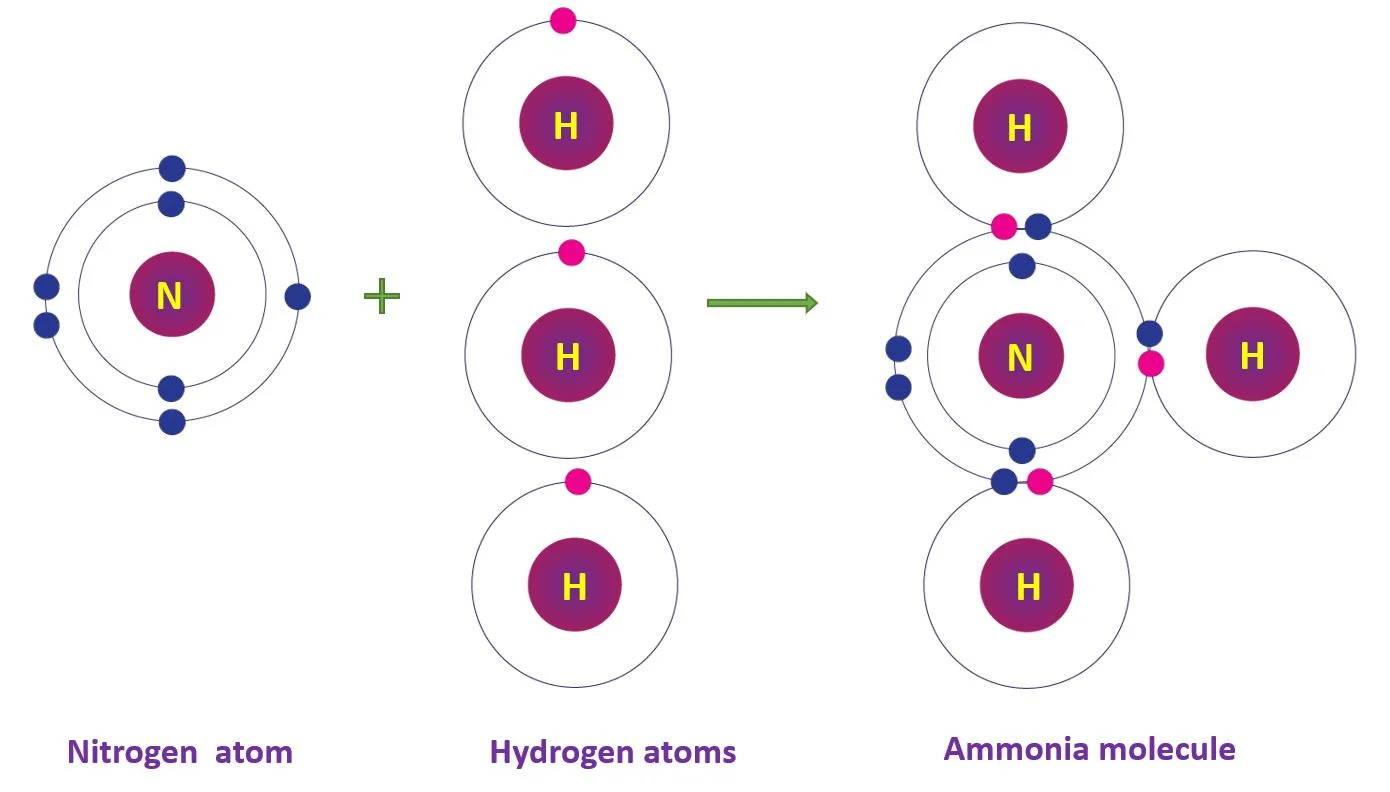 Covalent Bonds – Chemistry study notes