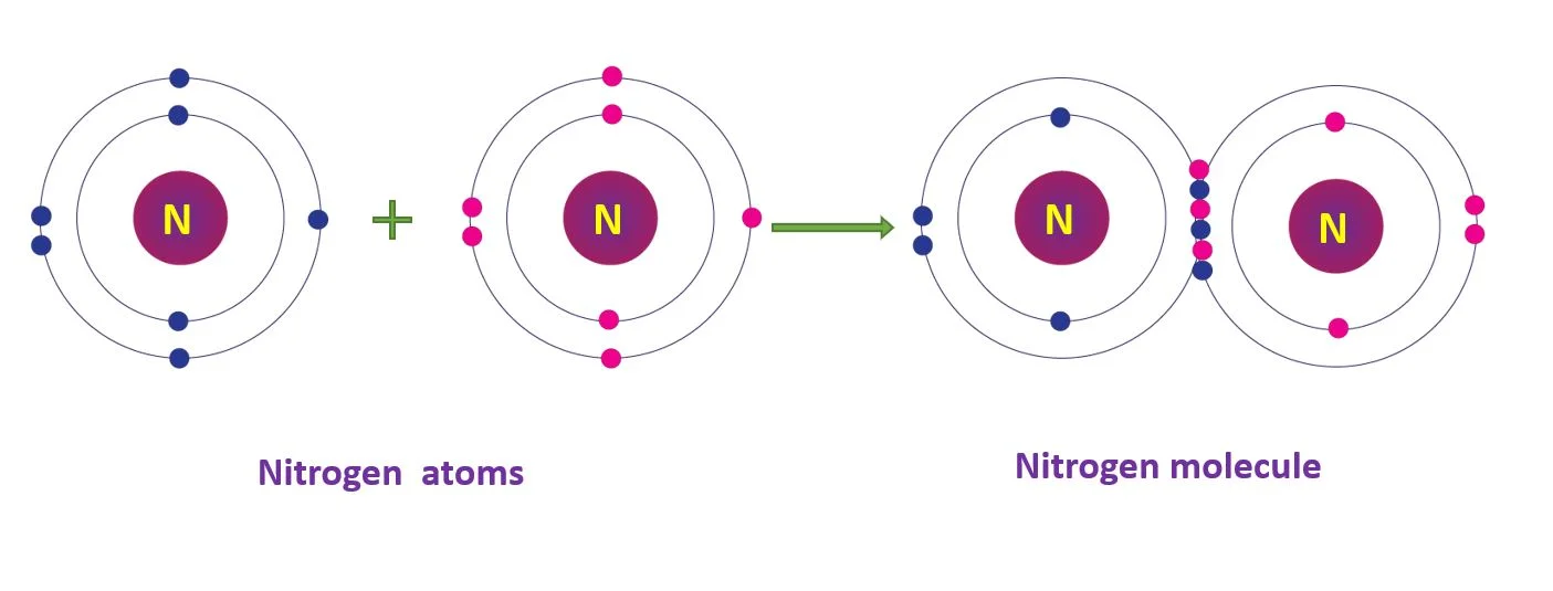 Covalent Bonds – Chemistry study notes