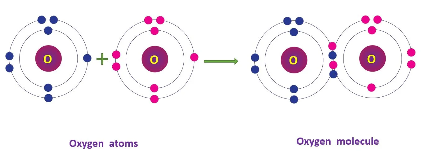 Covalent Bonds – Chemistry study notes