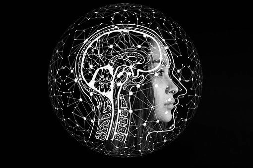 Neuroscience and the Brain