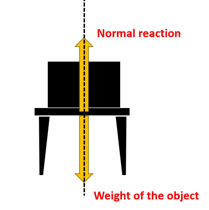 How to find normal reaction? – Friction physics lesson with examples