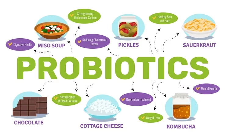 Probiotic Foods – The Benefits of Probiotics: Exploring the Role of Good Bacteria in the Gut