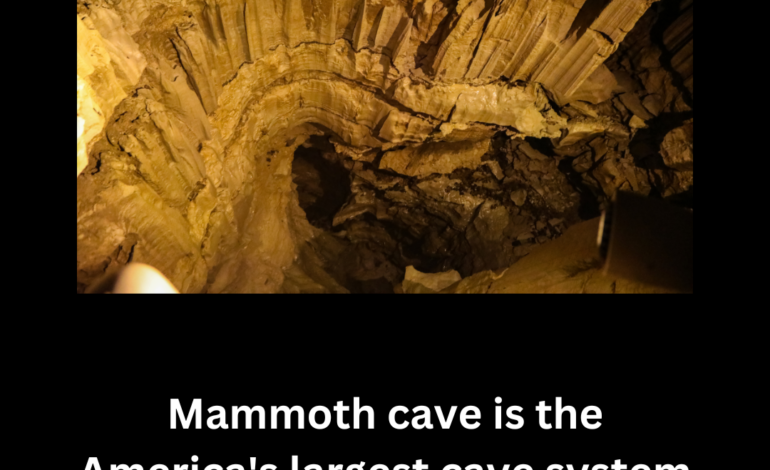  Mammoth Cave National Park: America’s Largest Cave System