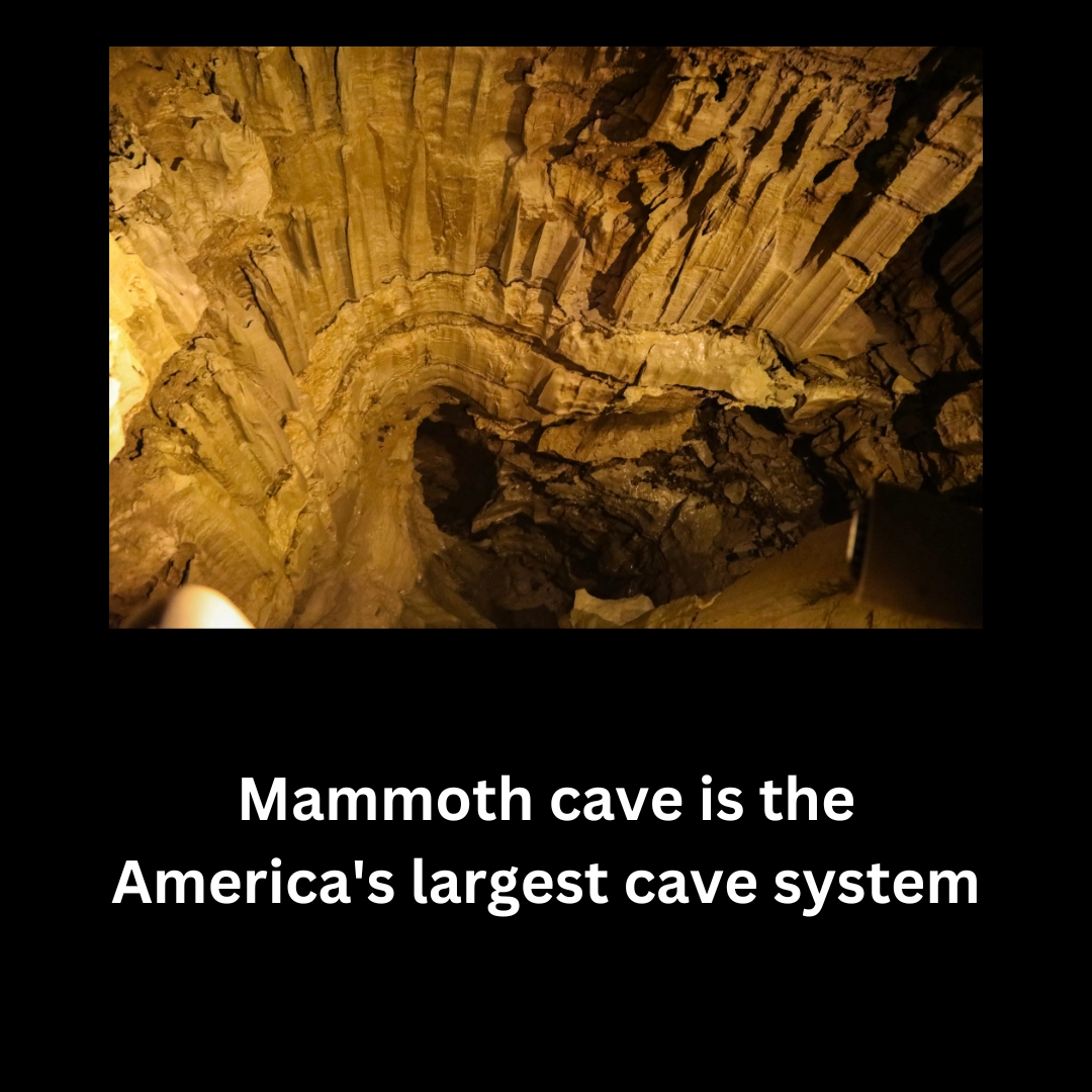 Mammoth Cave National Park: America's Largest Cave System