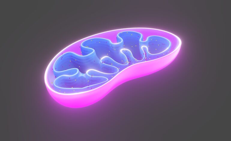 cell mitochondria biology organelle 6474673