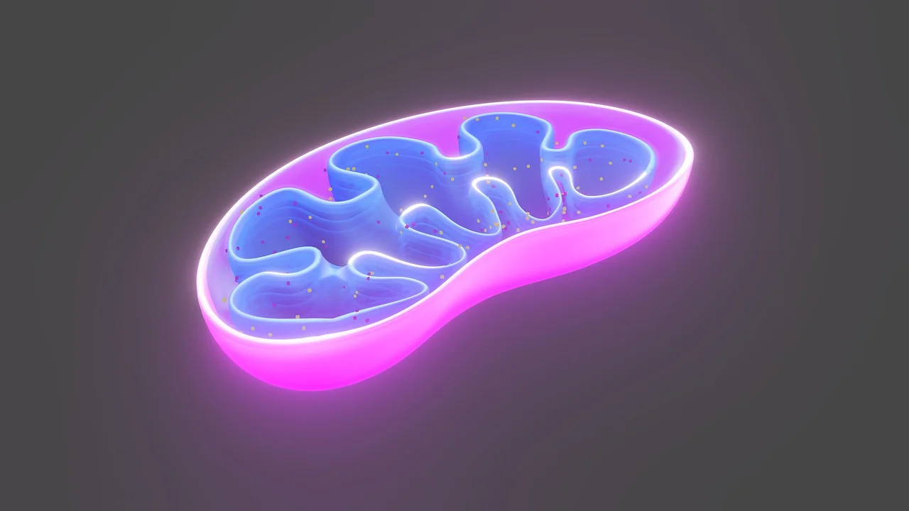What is the definition of matrix in biology?