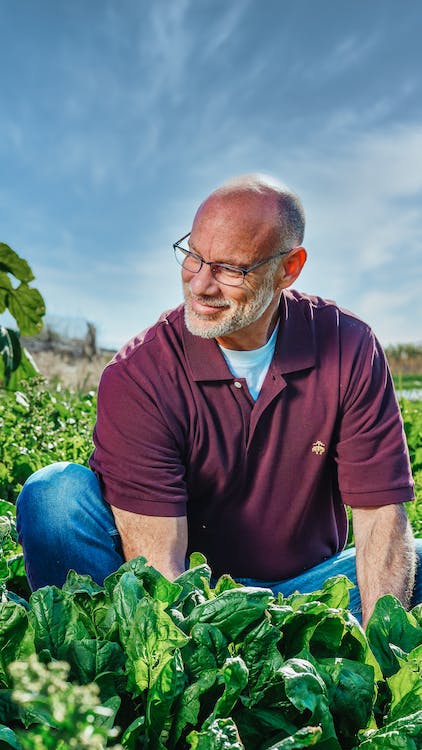 Free A Young Man Sitting Beside Spinach Crops Stock Photo