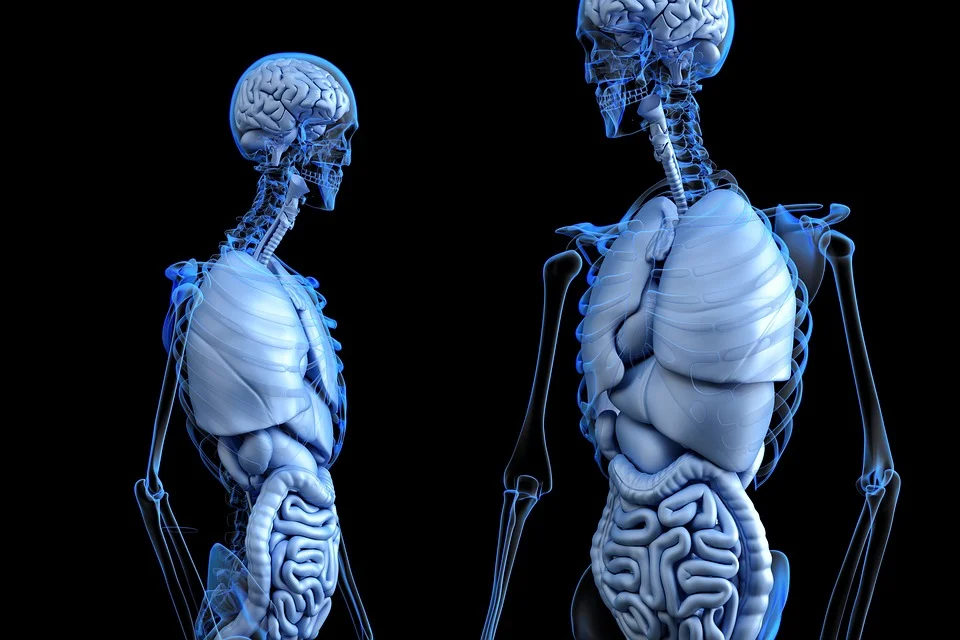 Peritoneal mesothelioma