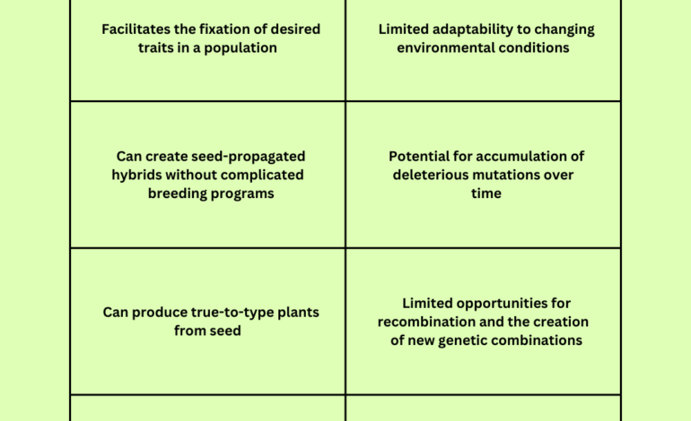 apomixis in plants