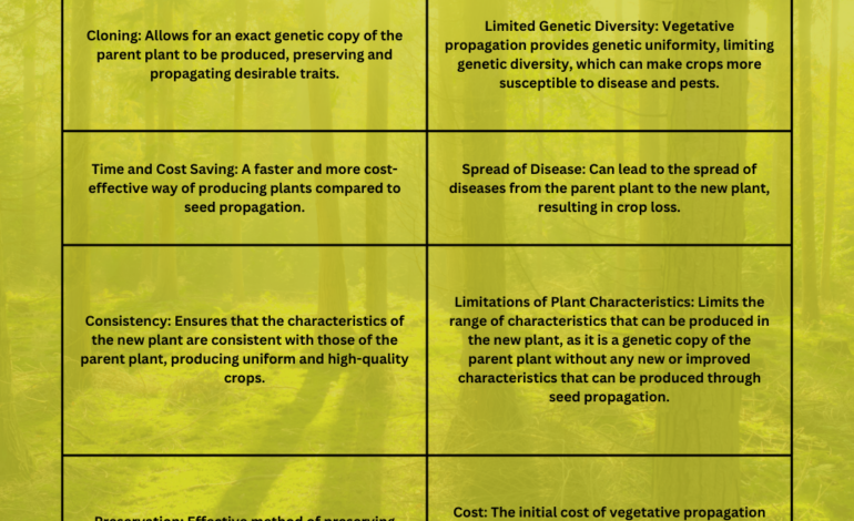 What is vegetative propagation? a method of plant reproduction where a new plant is produced from a part of a parent plant, such as a stem, leaf, or root.