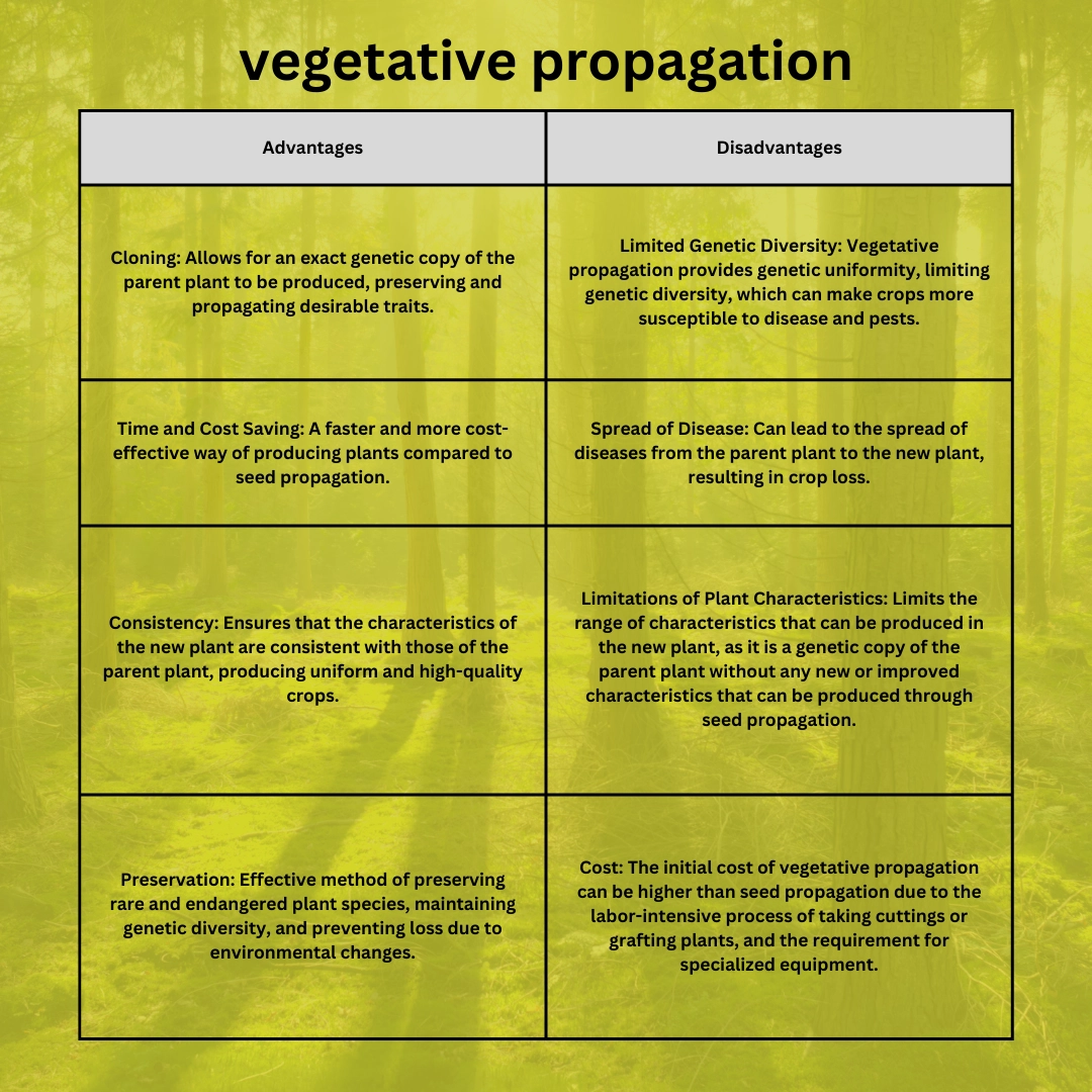 Vegetative propagation in plants
