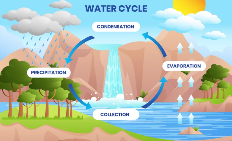  Water cycle steps