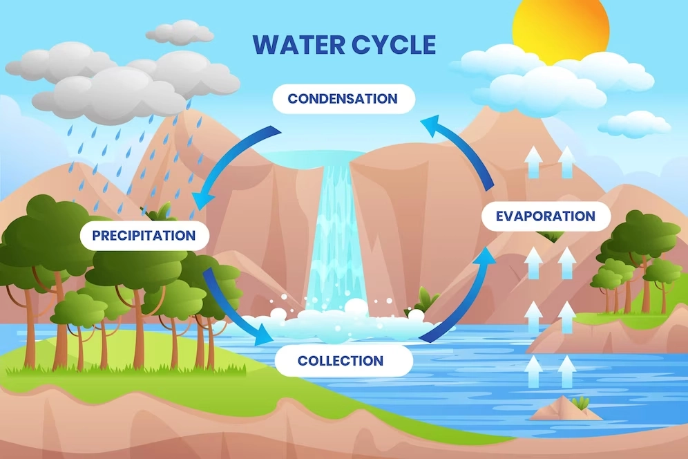 Water cycle steps