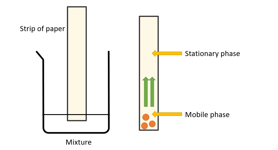 Chromatography setup in a diagram – Compound separation techniques in chemistry