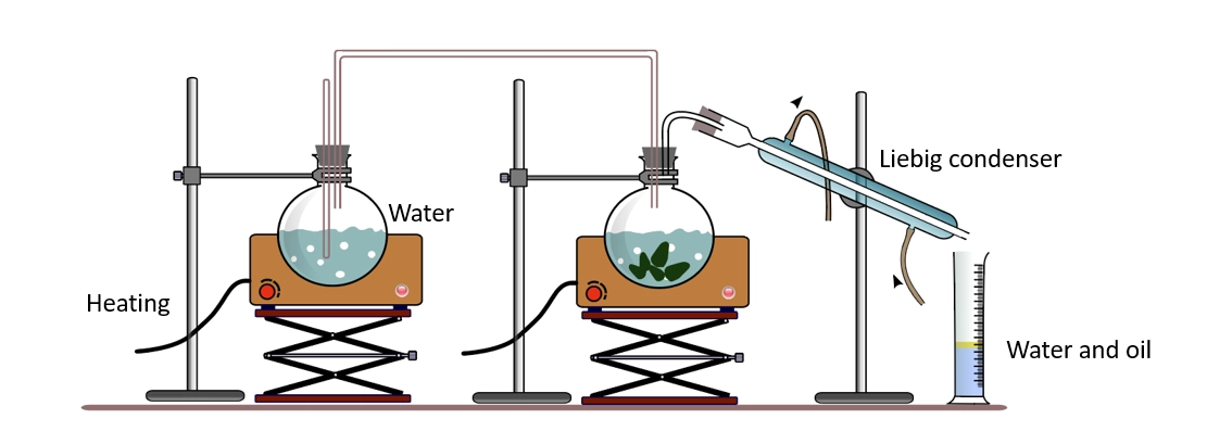 Steam distillation apparatus – Compound separation techniques in chemistry
