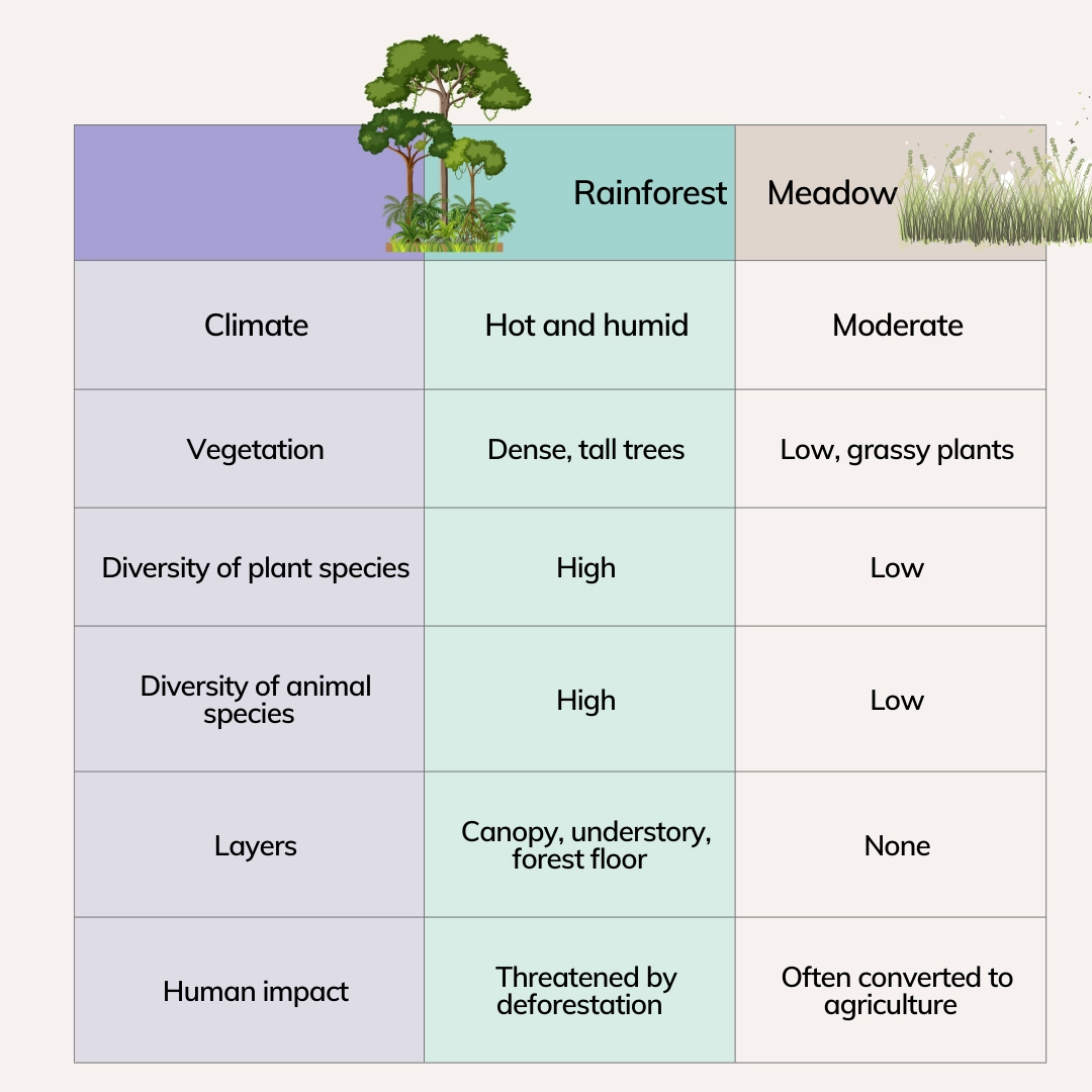 Protecting forests is one of the most effective ways to conserve biodiversity, and this can be done through conservation policies, sustainable forestry practices, and reforestation efforts.