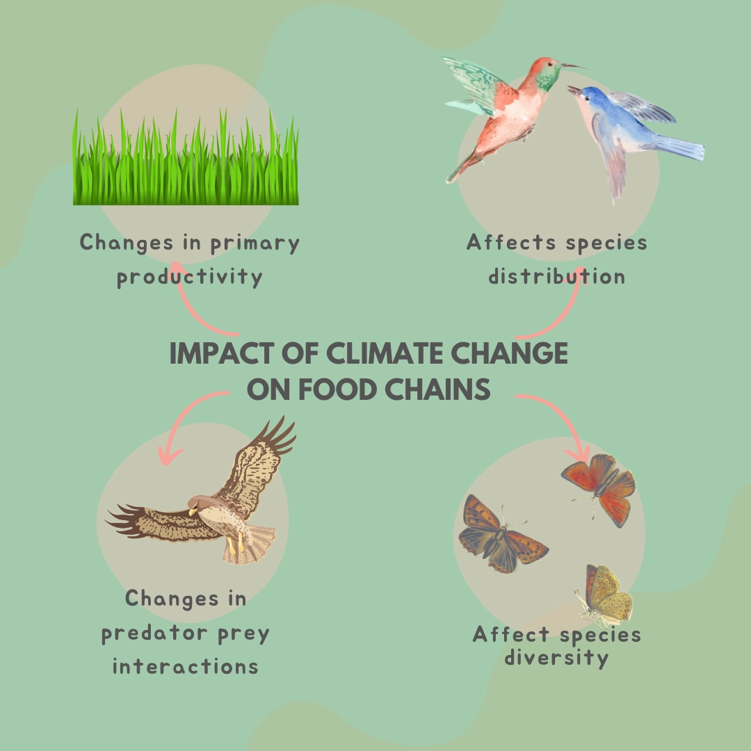 Impact of Climate Change on Food Chains: – Impact of Climate Change on Ecosystems and Food Chains